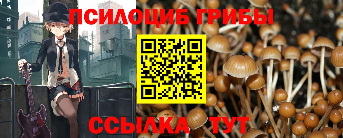 Псилоцибиновые грибы ЛСД  Псилоцибиновые грибы Magic Shrooms  Семёнов  купить   Вход с VPN 
