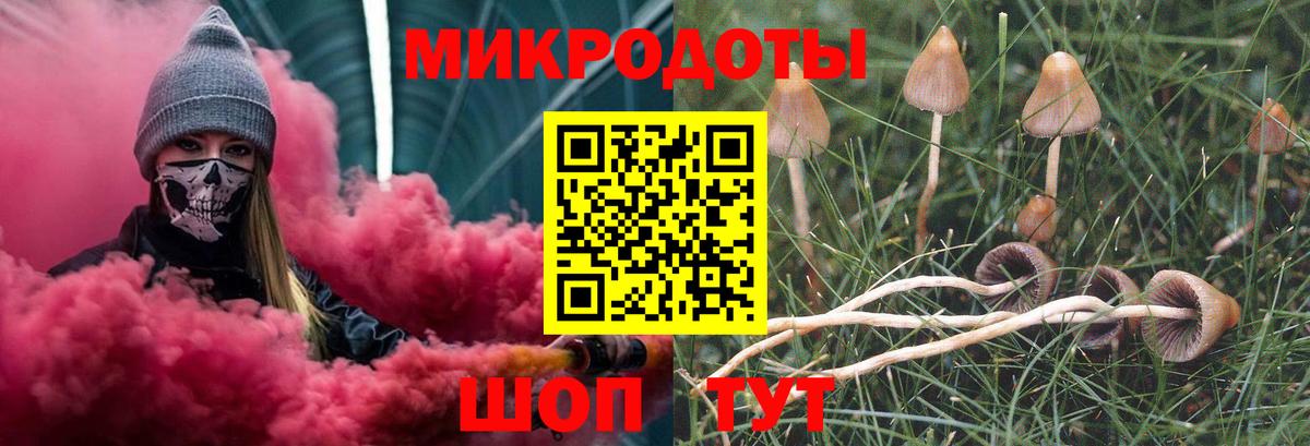 Псилоцибиновые грибы Psilocybe Семёнов